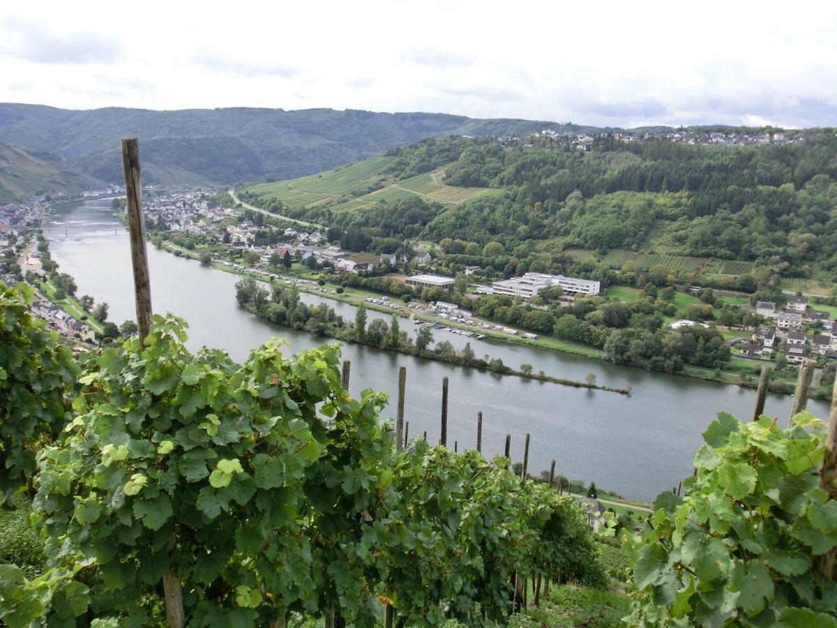 Beim Winzer Apartment Zell an der Mosel Ngoại thất bức ảnh